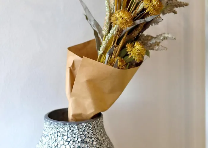 Tea Maraska דירה זאדאר