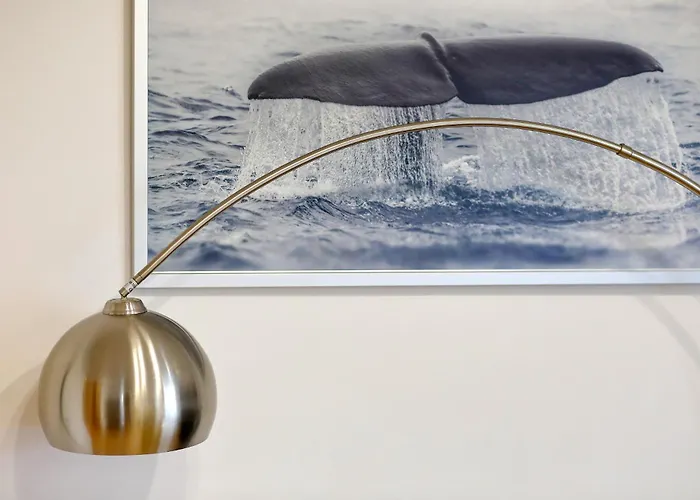 Tea Maraska * זאדאר